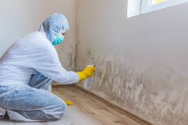 Why You Should Choose Our Mold Remediation Services in Salix, PA